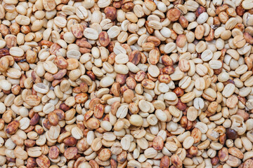 Farmers harvest coffee beans and dry them in the sun to reduce moisture in the coffee beans and wait for sorting to enter the coffee roasting process to meet the required standards before exporting.