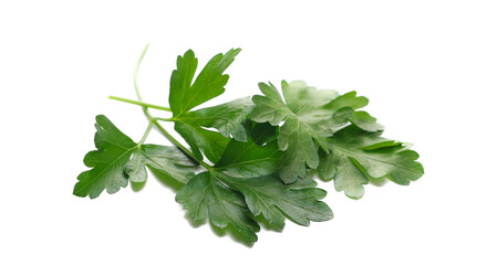 Fresh green celery leaves, pile isolated on white background
