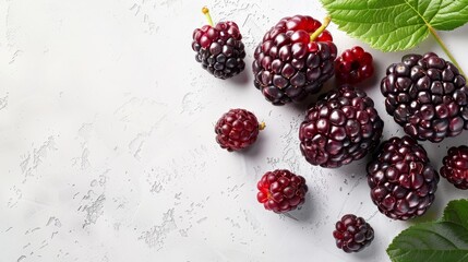 mulberry fruit on white background with empty space