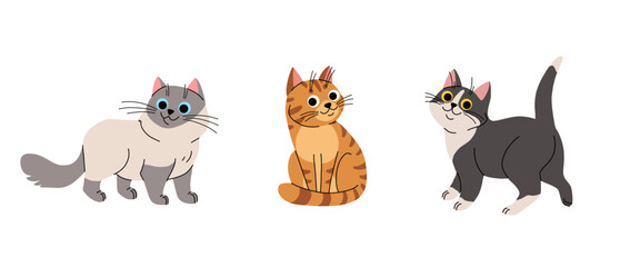Cute cartoon cat set. Adorable domestic cats sitting, standing. Fluffy siamese pet, orange tabby and black and white. Lovely kitten flat vector illustration isolated on white background