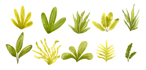 Set of tropical bushes. Green watercolor greenery. Jungle collection