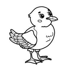 Cute cartoon seagull. Black and white outline vector Illustration of bird. Children's coloring page book