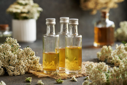 Three bottles of herbal tincture made of fresh yarrow flowers