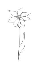 Vector illustration of a flower in continuous outline style. This elegant and minimalist botanical floral element