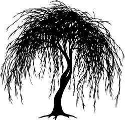 A black silhouette of weeping willow silhouette. Detailed branch structure. Majestic nature illustration.