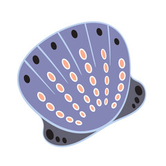 Seashell. Tropical ocean animal design in cartoon style