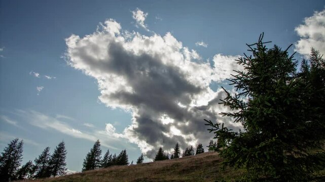 Timelapse of a cloudy sky in the mountains along a ski track with pines in summer