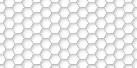 Vector White Hexagonal Background. Luxury White Pattern. Vector Illustration. 3D Futuristic abstract honeycomb mosaic white background. geometric mesh cell texture. modern futuristic wallpaper.