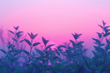 Obraz premium Serene Twilight Nature in Pink and Purple Gradient