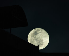 moon in the night