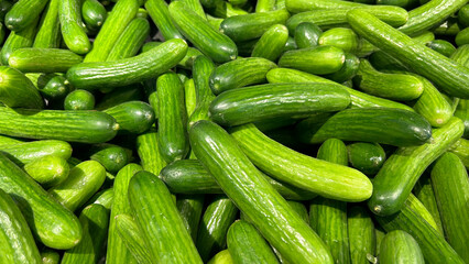 A pile of fresh green cucumbers is displayed at a market