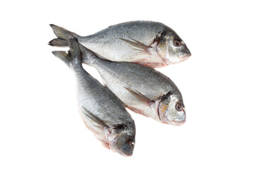 Top view of three scaled and grated dorado fish on a white background.