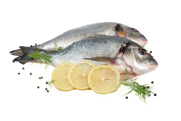 Two scaled dorado fish with lemon slices, dill and pepper.