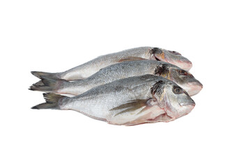 Three scaled and grated dorado fish on white background.