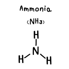 molecular structure of ammonia illustration