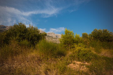 Croatian mountains, hot summer day