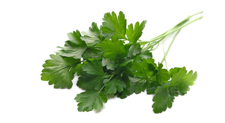Fresh green celery pile isolated on white background