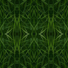 green grass texture background