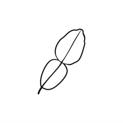  line art illustration of kaffir lime leaves for icon or logo