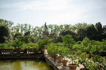 garden in florence