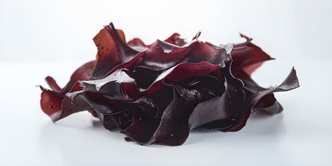 Dulse vegetable isolated on white background front view. Concept Food Photography, Dulse Seaweed, Vegetarian Ingredient, White Background, Front View
