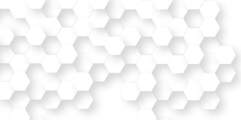 Vector White Hexagonal Background. Luxury White Pattern. Vector Illustration. 3D Futuristic abstract honeycomb mosaic white background. geometric mesh cell texture. modern futuristic wallpaper.