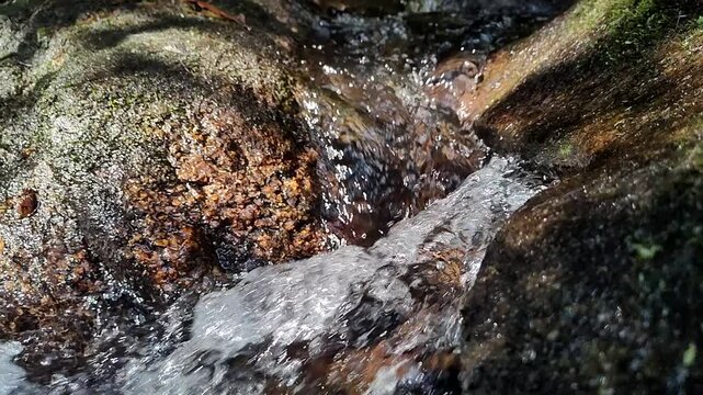 &Aacute;gua corrente de riacho da mata atlantica, floresta tropical em camera lenta,  