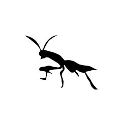 Animal silhouette Vector illustration, diverse wildlife collection