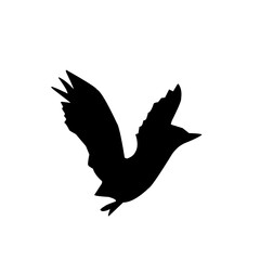 Animal silhouette Vector illustration, diverse wildlife collection