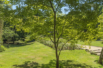 The diversity of leaf shapes and colours in nature is fascinating and contributes to the beauty of our environment 2