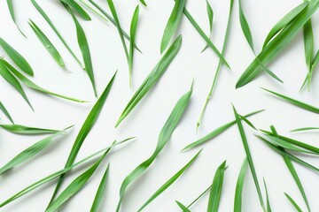 Fototapeta premium A group of fresh green leaves arranged on a clean white surface
