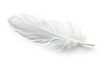 Obraz premium A single white feather sitting on a white background