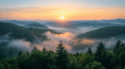 Obraz premium Sunrise Over Misty Mountains in the Black Forest