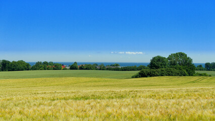 Obraz premium Ostseeblick