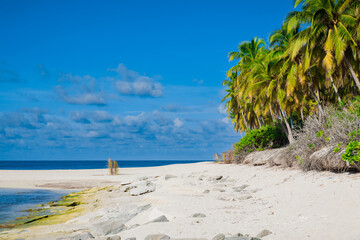 Sandy holidays beach and sea on Maldives island. Tropical banner