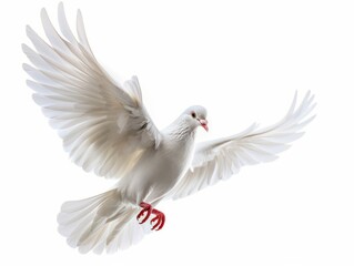 Obraz premium Beautiful Flying white dove isolated on a white background. AI generated image