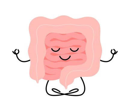 Happy healthy intestine character meditation yoga relax. Health gut organ sit in lotus, keep calm. Vector illustration