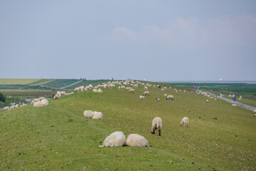 Das Wangerland an der deutschen Nordseek&uuml;ste