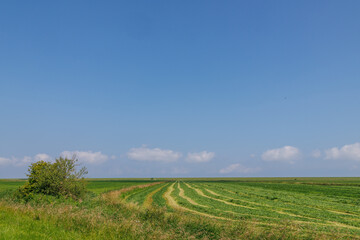 Das Wangerland an der deutschen Nordseeküste