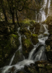 Detail of the waterfalls at the source of the Ason River in Cantabria, between rocks covered with moss inside a beech forest