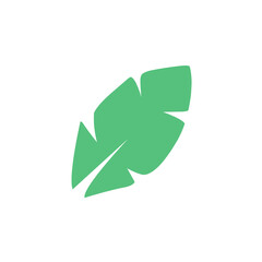 Flat green leaves collection.Vector illustration