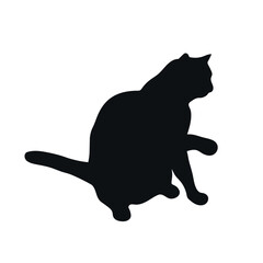 Playful cat silhouette isolated on white background. Cat touching something. Feline shadow. Vector illustration