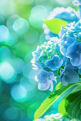 close-up of a beautiful hydrangea. Selective focus