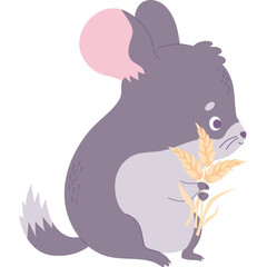 Chinchilla with ears of wheat