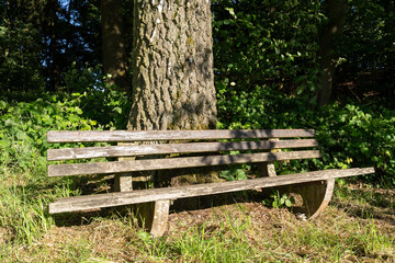 Wooden bench for pedestrians in the country