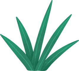 Green tropical plant bushes. Hand drawn illustration 