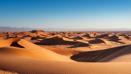Naklejka premium sand dunes in park