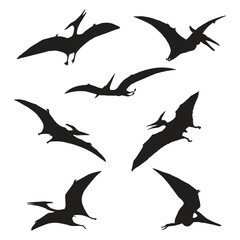 Pterodactyl Dinosaur Illustration Vector Silhouette Set
