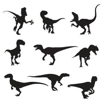 Velociraptor Dinosaur Illustration Vector Silhouette Bundle