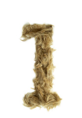 Creative typography made with real dog hair. Blonde hair on white background Dogs, cats, pets, monsters and other furry animals. Complete alphabet. Number 1